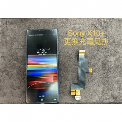 S__5087795.jpg